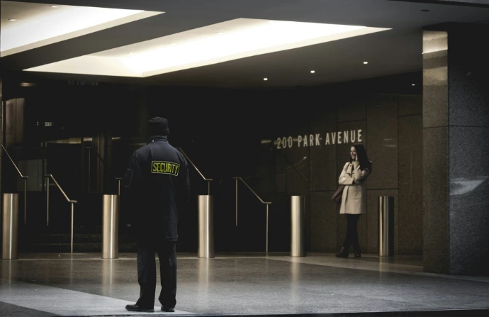 beveiligingsagent die op de grijze vloer staat