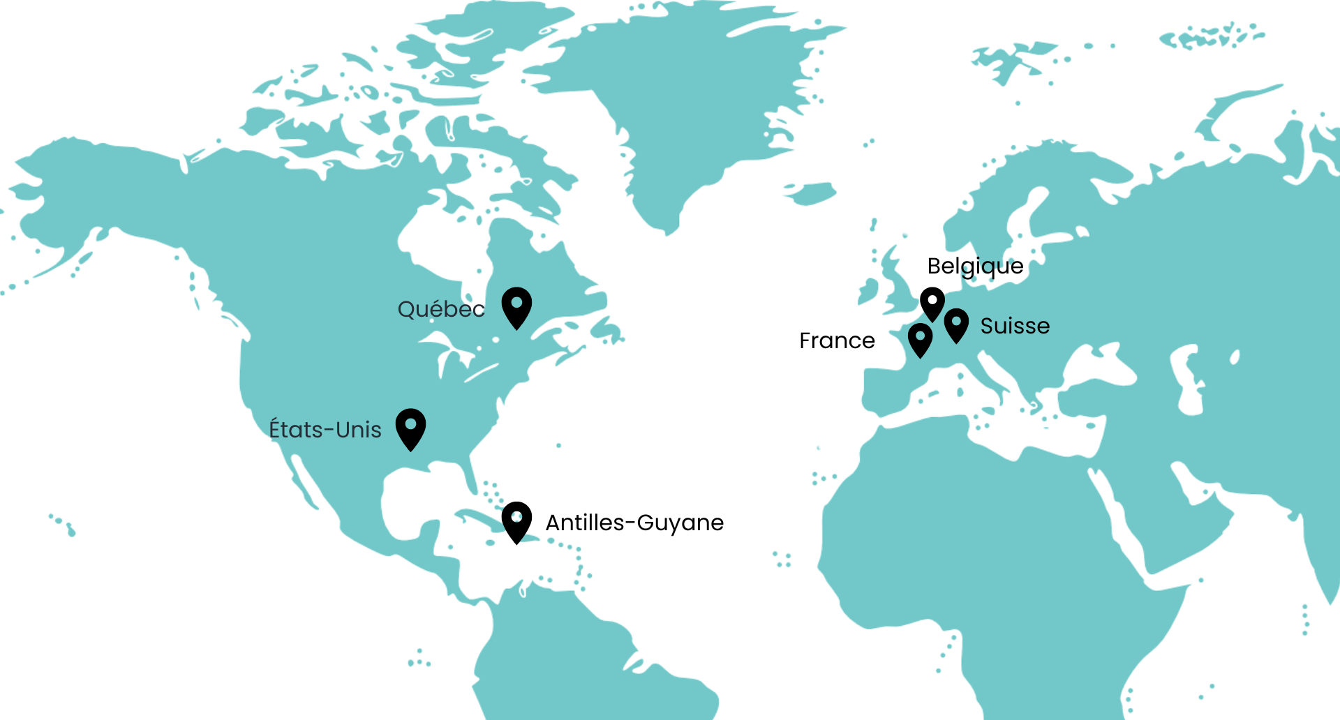 Carte experts Odoo