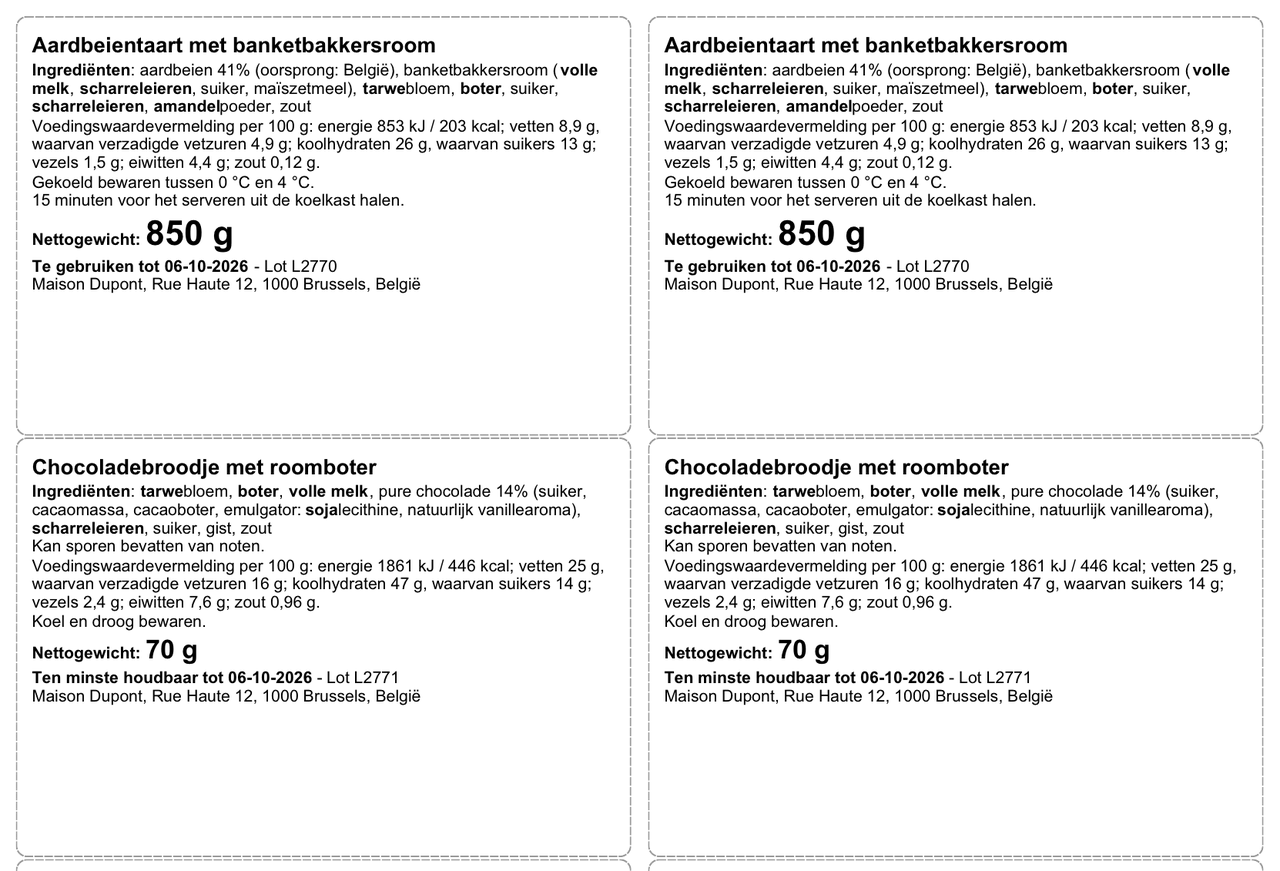 A4-vel met 8 etiketten (99 x 68 mm), Nederlands