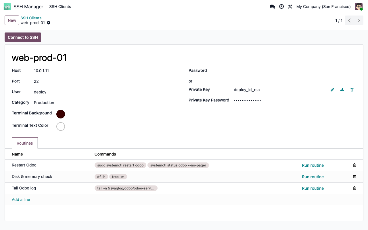 Serverfiche: host, gebruiker, RSA-sleutel met wachtwoordzin, categorie, terminalkleuren en routines